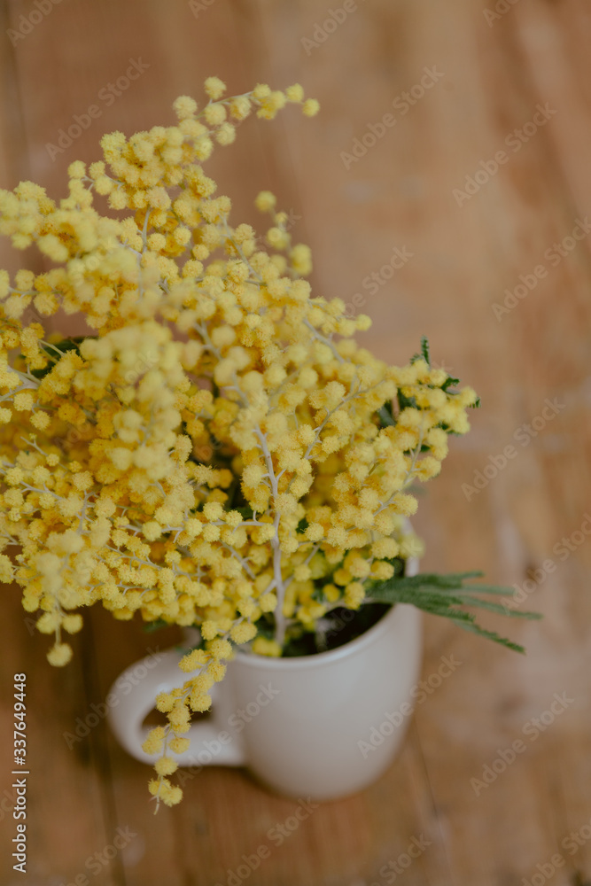 branch of yellow mimosa in cup on background of boards