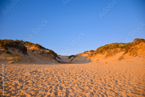 sand dunes near the sea in Australia