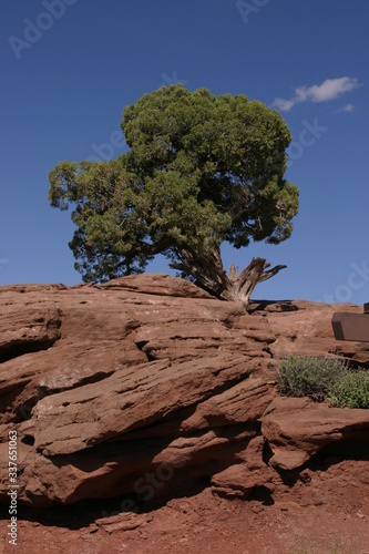 Canyonlands