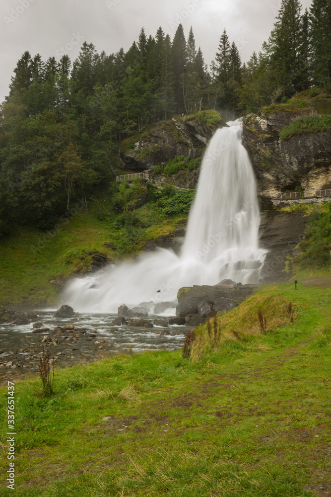 Obraz premium waterfall in the forest