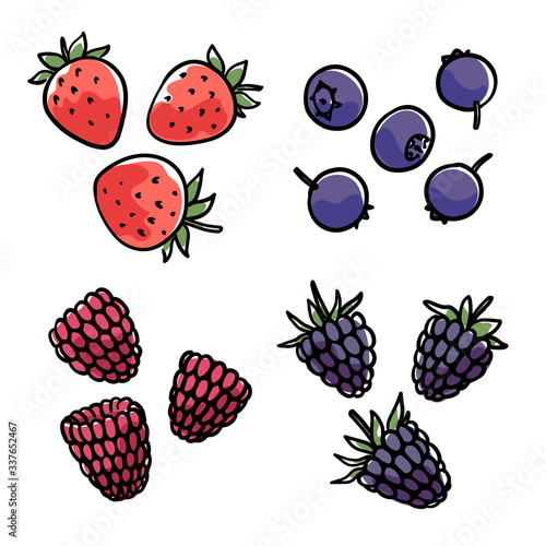 Hand-drawn berries. Strawberries, blueberries, raspberries, blackberries. 