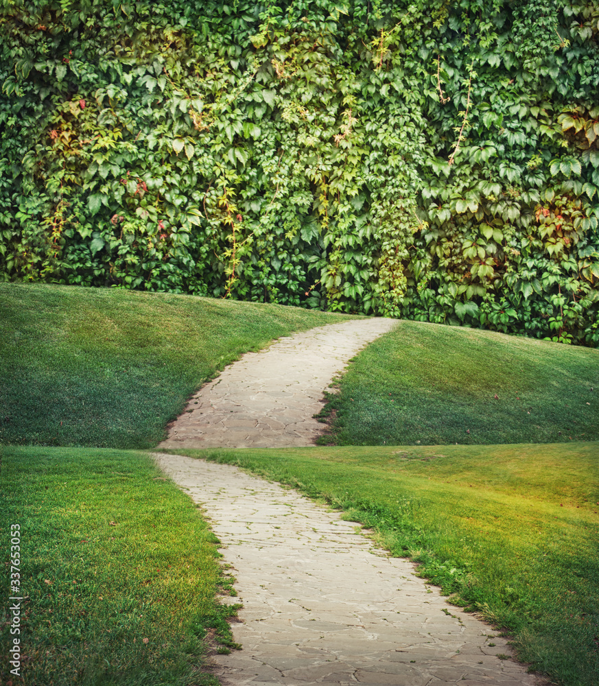 Fairy magic enchanted landscape with road, green meadow and wall with plants Fairy magic enchanted landscape with road, green meadow and wall with plants