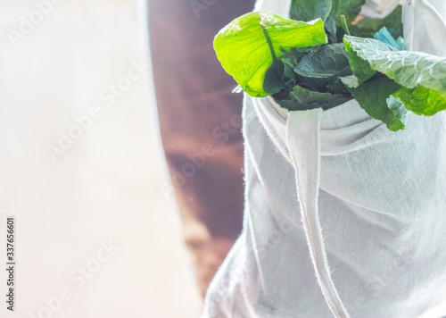 Woman holding textile glocery bag with vegetables. Canvas tote bag. Eco friendly / Zero waste concept.
Reusable shopping bag
cotton shopper bag, concept without plastic. Female hands hold eco bag photo