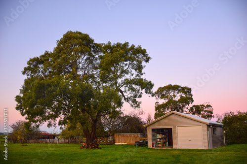 The houses with high tree, green grass field and twilight sky background on sunny day in Melbourne, Australia