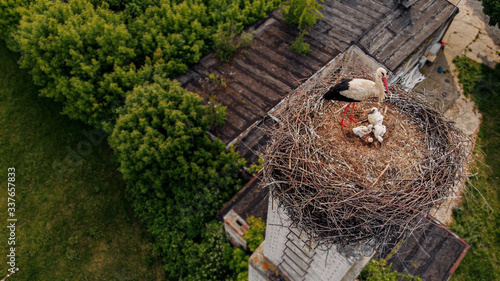 Stork with chicks on the nest made on the chimney of an old village house.