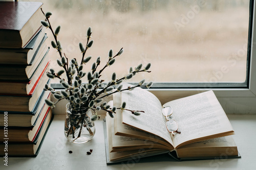 willow branches and books on the windowsill