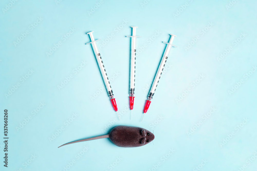 Laboratory mouse and several syringes on a blue background. The concept of testing and research on new drugs in animals. Laboratory mouse and several syringes on a blue background. The concept of testing and research on new drugs in animals.