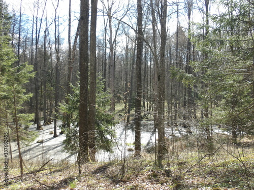 Fototapeta Naklejka Na Ścianę i Meble -  KODAK Digital Still Camera