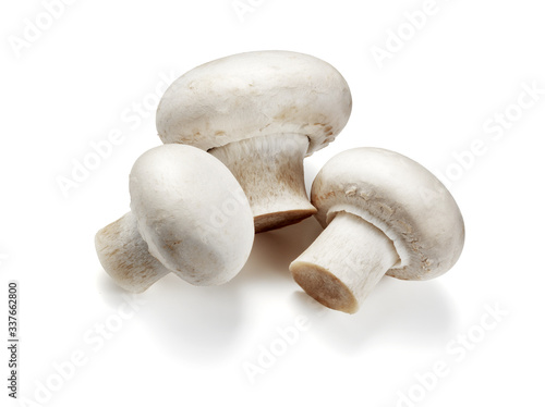 three fresh mushrooms isolated