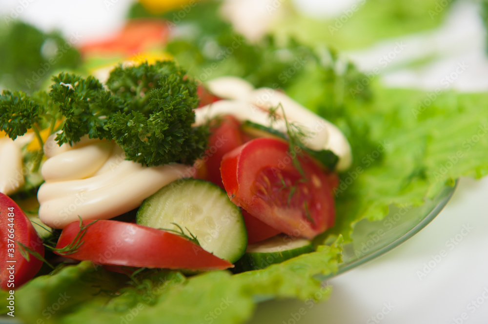 Salad of vegetables and herbs