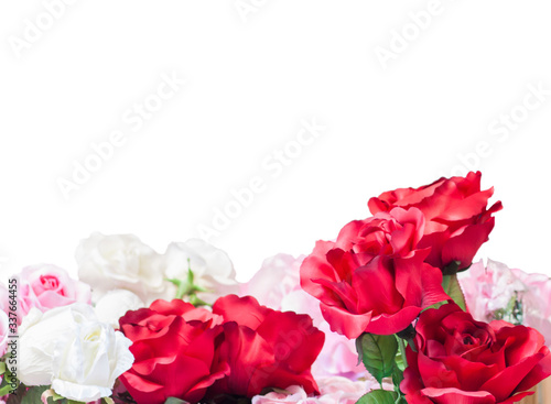 Bright white and red roses on a white background with empty space on top.