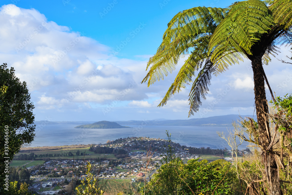 View of Rotorua, New Zealand, from Mount Ngongotaha. In the foreground