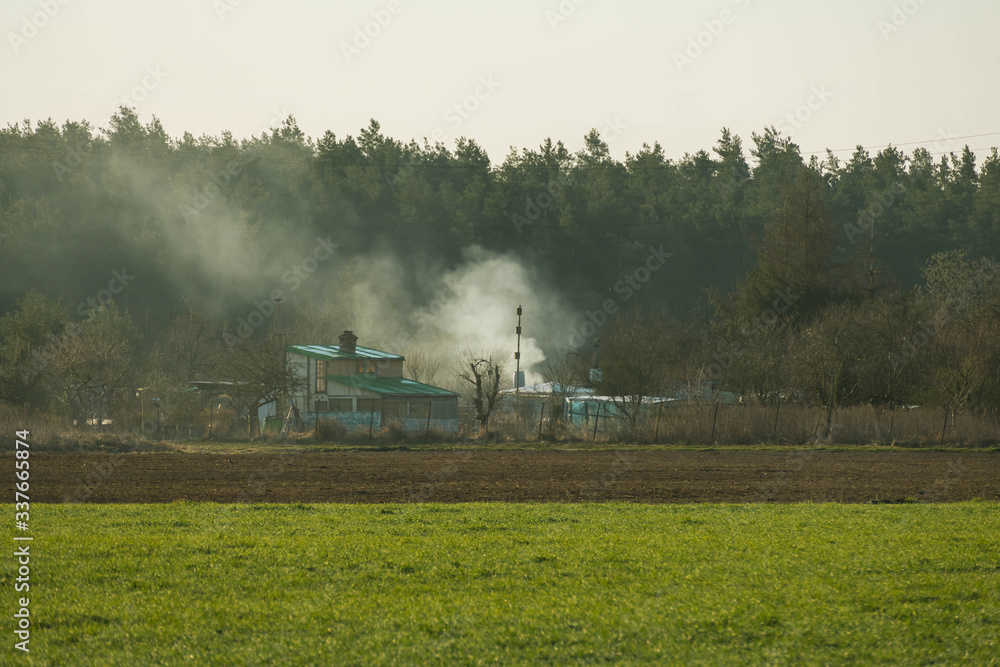 Obraz premium Wiosna na działkach ogrodowych.