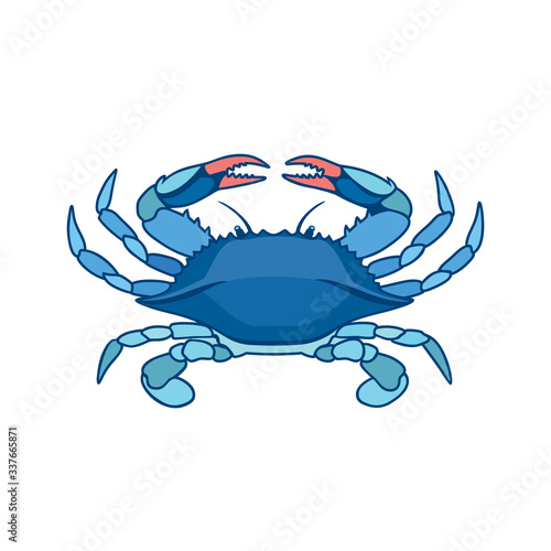 Blue Crab on a white background in watercolor style. Realistic, artistic, colored drawing of a blue crab. Vector illustration.