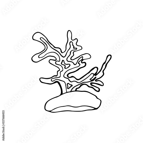 Contour image of seaweed, corals