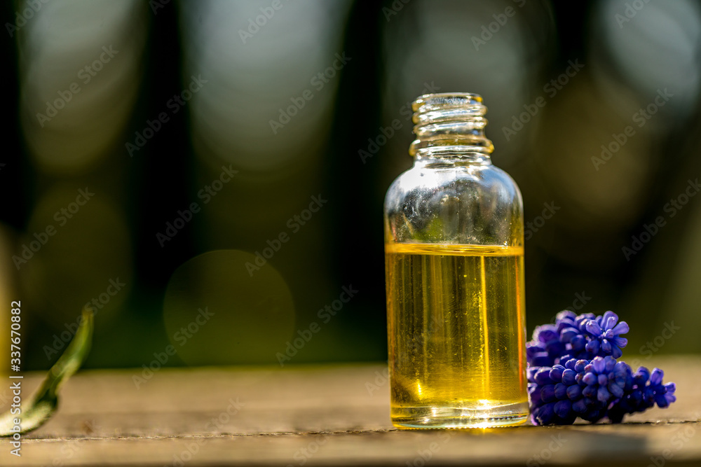 Fresh blue flowers and essential oil as natural aromatherapy for headache and migraine relief on old wooden background. Fresh blue flowers and essential oil as natural aromatherapy for headache and migraine relief on old wooden background.