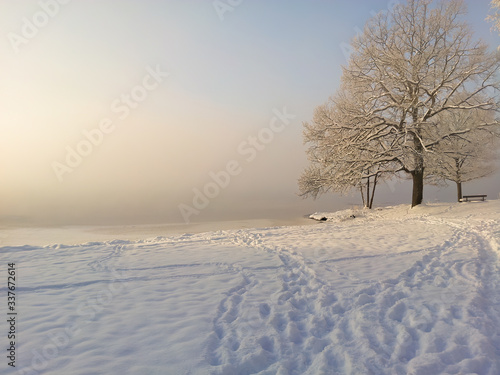 Hazy ice cold winter sunset landscape with snow, tree and fog over frozen lake.