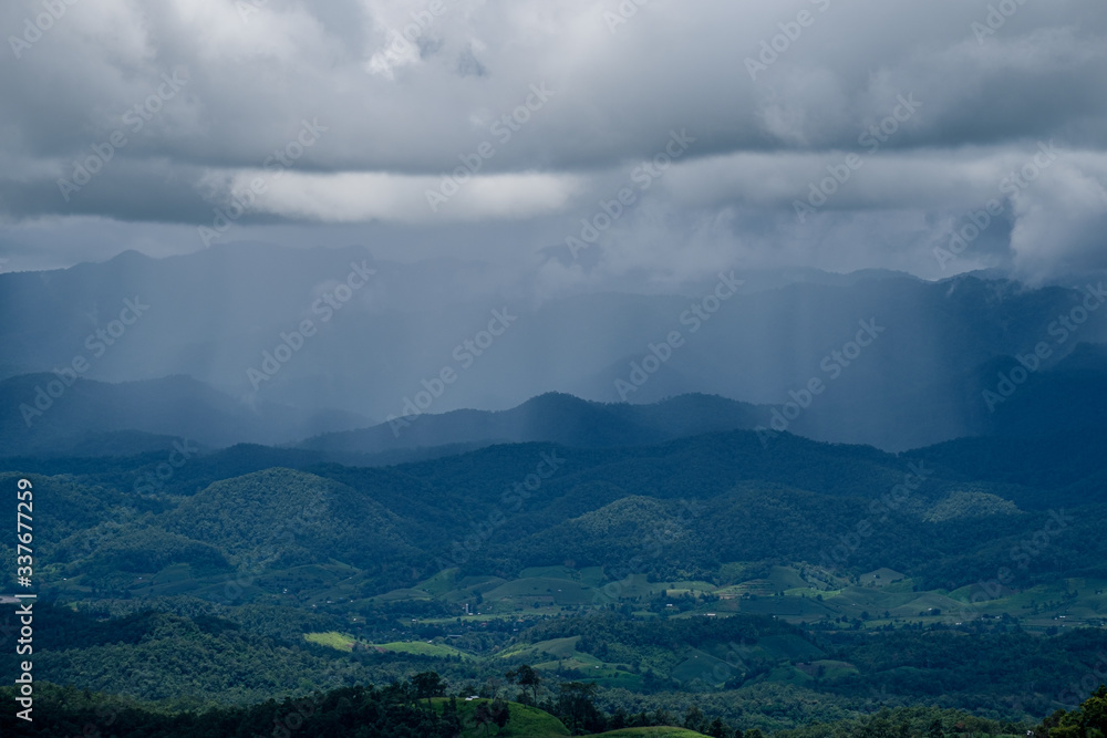 Forest during the rainy season on the mountains of northern Thailand