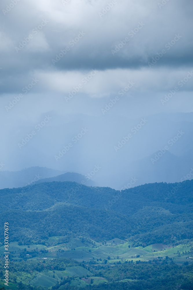 Forest during the rainy season on the mountains of northern Thailand