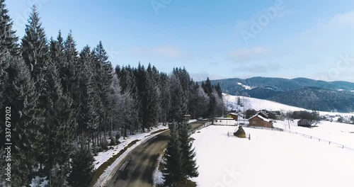Drone footage snow covered trees, winter nature beautiful Europe aerial view pine forest mountain, season travel white frozen nature idyllic 4k