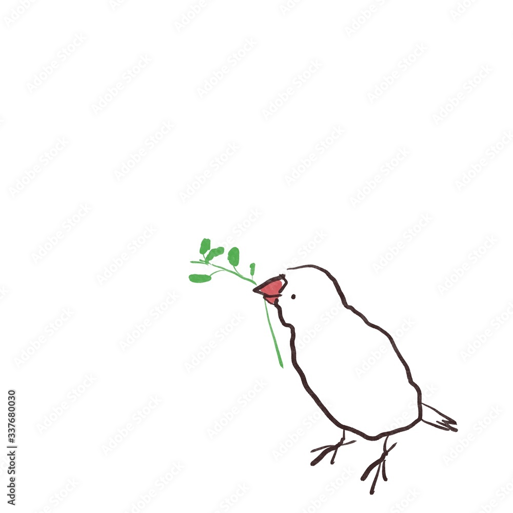 Obraz premium 豆苗をくわえた横向きの文鳥（白文鳥）