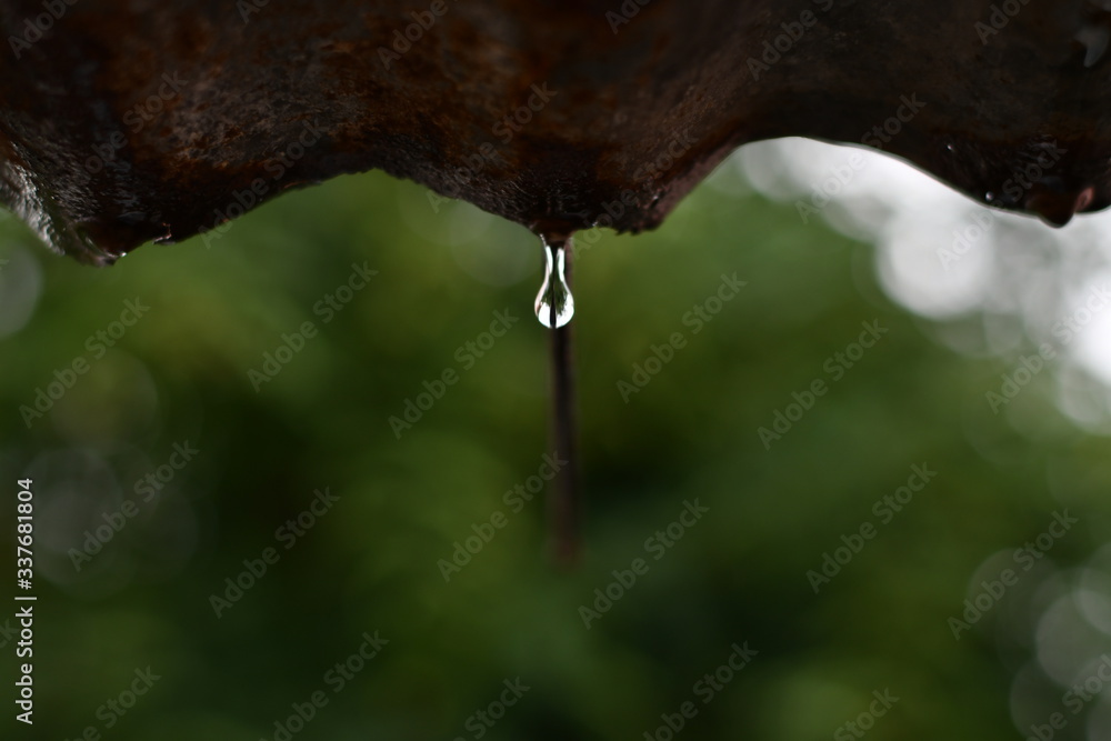 Obraz premium water splash isolated for background