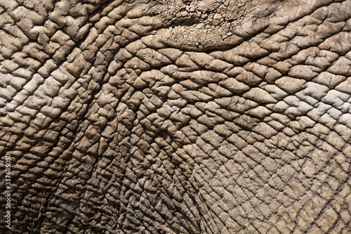 Full Frame Shot Of Elephant Skin © cláudio policarpo/EyeEm