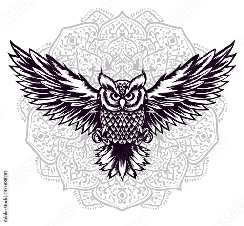 Owl bird vector illustration art
