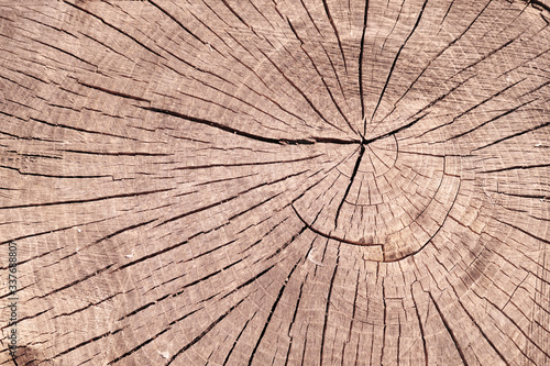 Circular wooden texture.