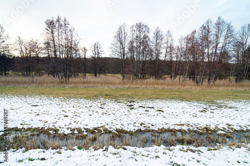 Wallpaper Mural Wiese Magstadt Torontodigital.ca