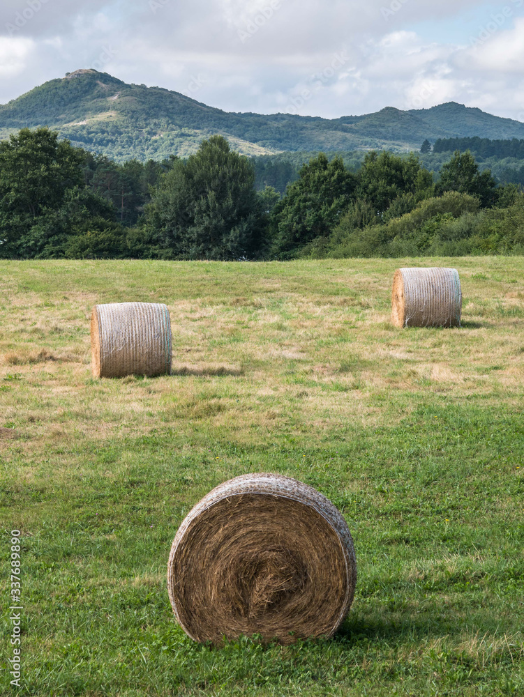Landscape with hay bale rolls in Alava, Basque Country, Spain