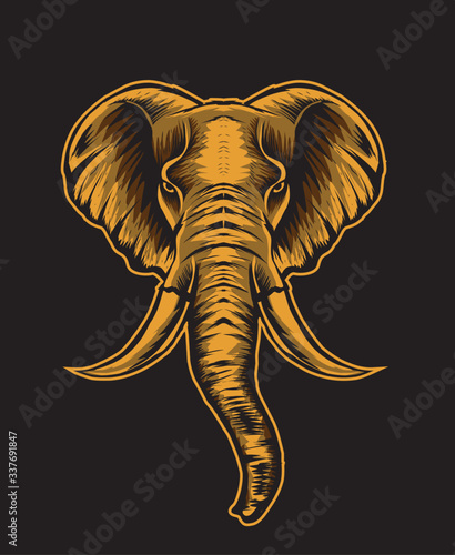 Adult elephant head on black background-vector