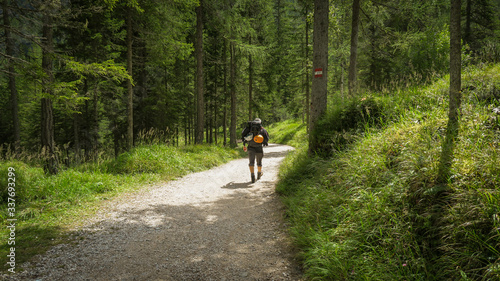 Return from the mountain trail through the forest