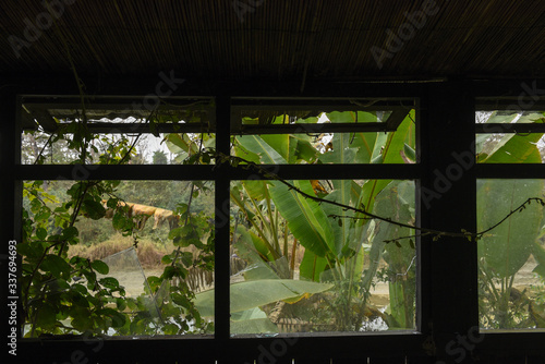 Old abandoned tourist resort in the jungle of Chitwan national park, Nepal