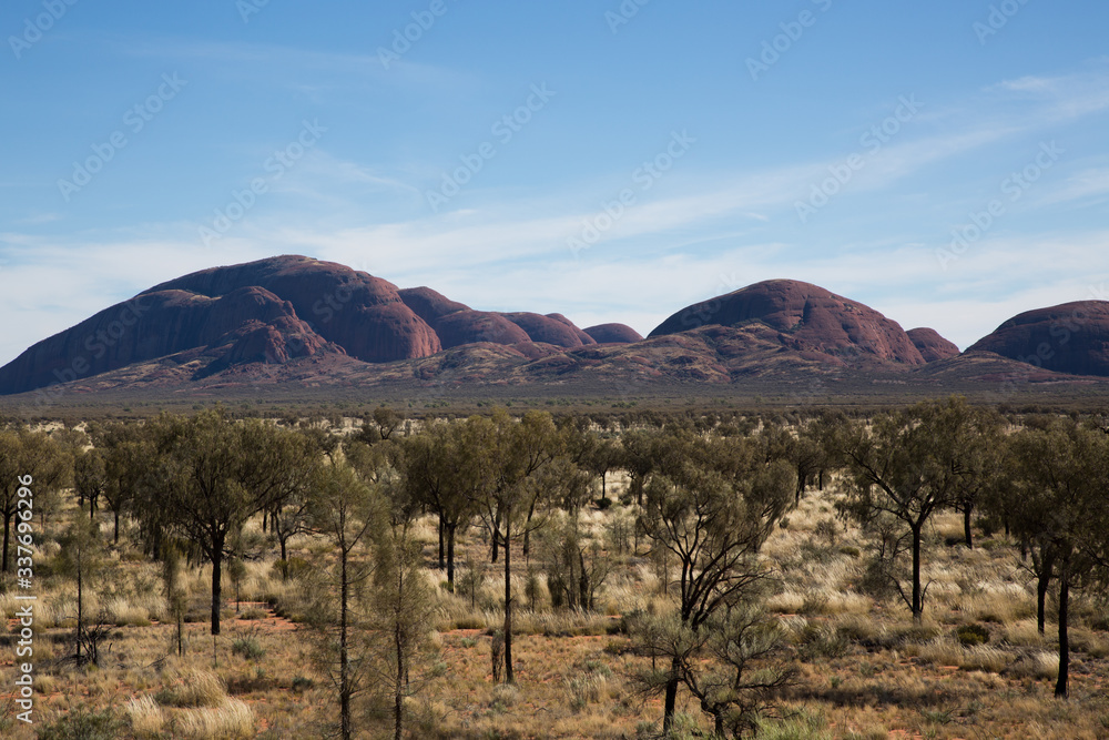 Trees in front of red rocks in the Australian outback