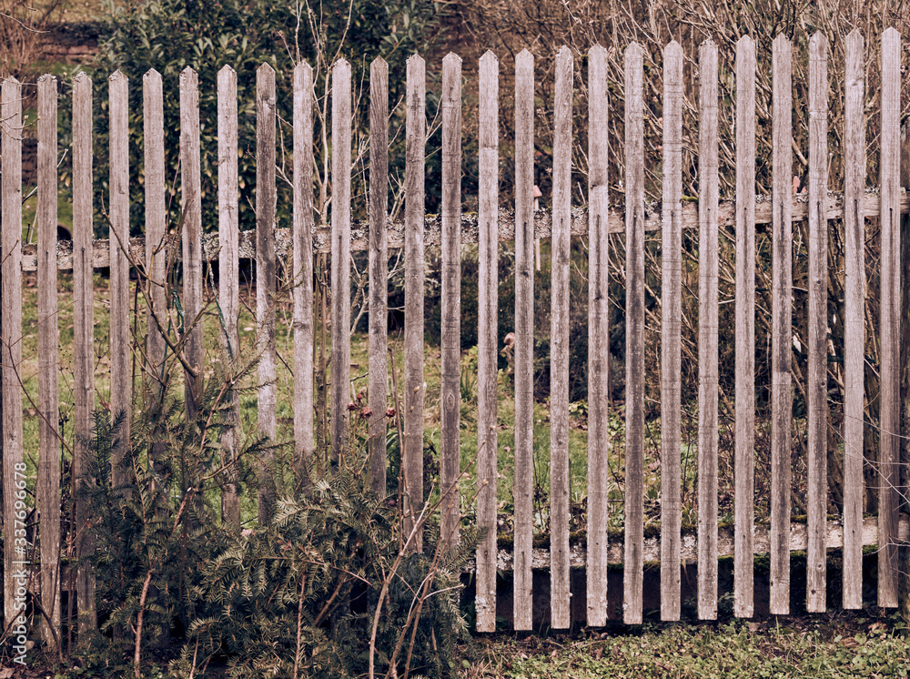 Old wooden fence in the middle of the woods in a cloudy day
Old wooden fence in the middle of the woods in a cloudy day