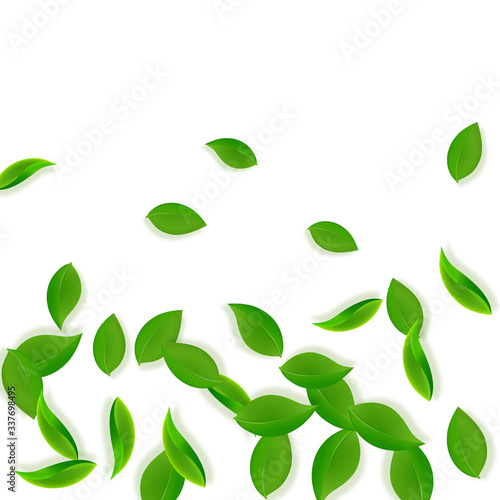 Wallpaper Mural Falling green leaves. Fresh tea neat leaves flying Torontodigital.ca