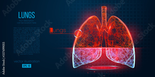 Abstract silhouette of the polygonal organ of lungs on blue background. Scanning, research and diagnosis of the human lungs. Holographic low poly, wireframe vector. Thanks for watching