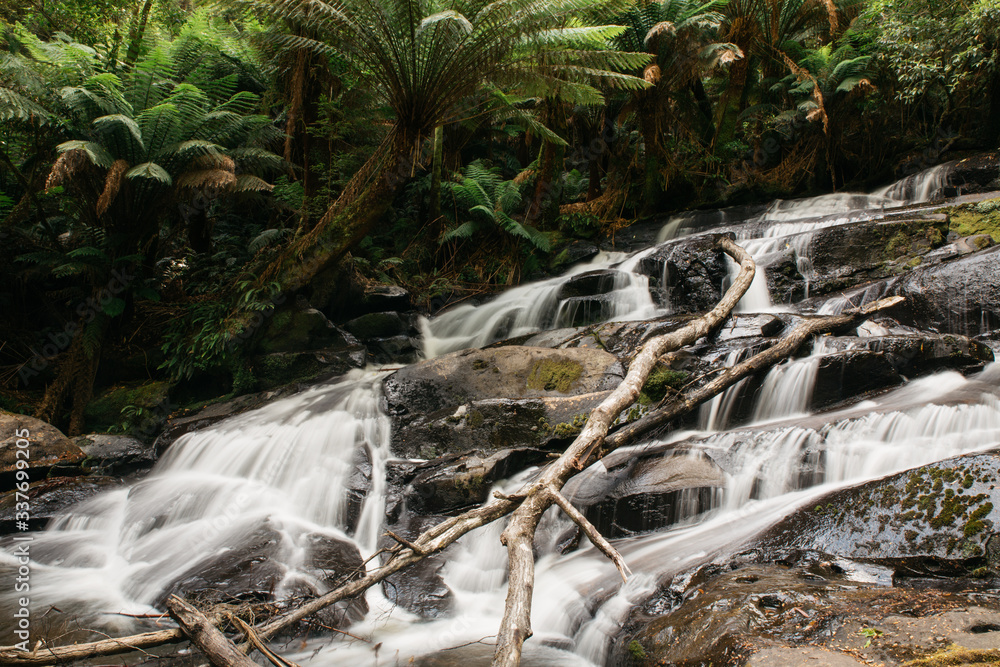 Fototapeta premium Waterfall in an Australian national park