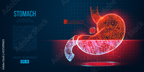 Abstract silhouette of the polygonal organ of stomach on blue background. Scanning, research and diagnosis of the human stomach. Holographic low poly, wireframe vector. Thanks for watching
