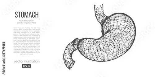 Abstract silhouette of the polygonal organ of stomach on white background. Scanning, research and diagnosis of the human stomach. Holographic low poly, wireframe vector. Thanks for watching