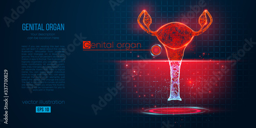 Abstract silhouette of the polygonal genital organ of woman on blue background. Scanning, research and diagnosis of the genital organ of woman. Holographic wireframe vector. Thanks for watching