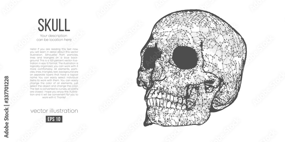 Abstract silhouette of the polygonal skull of human on blue background ...