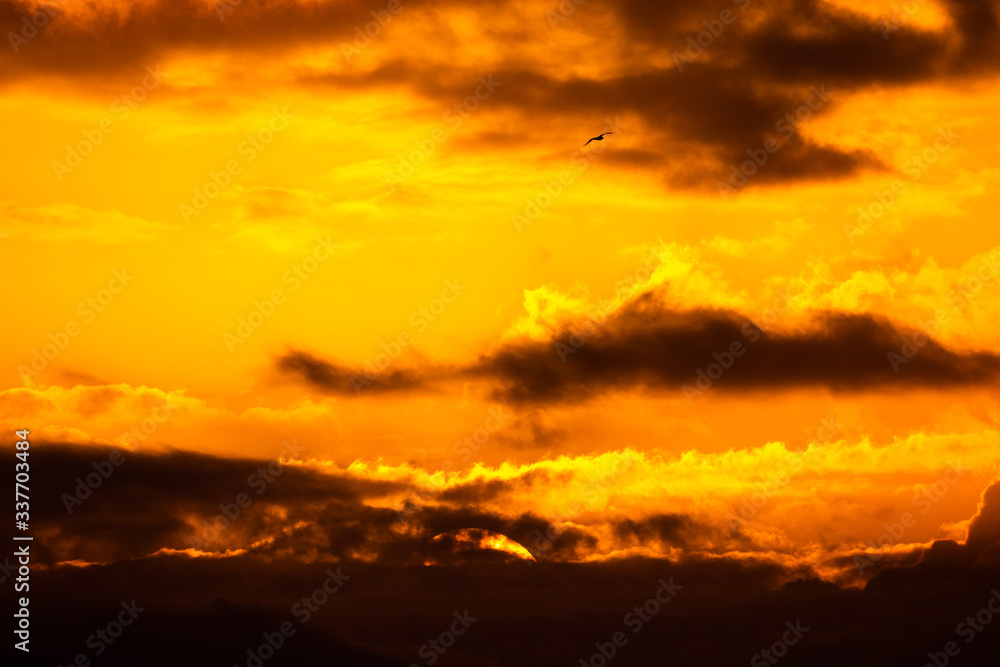 Beautiful sunset with different orange and yellow clouds in the golden hour. Beautiful landscape of a golden cloudy sky with a bird in flight.