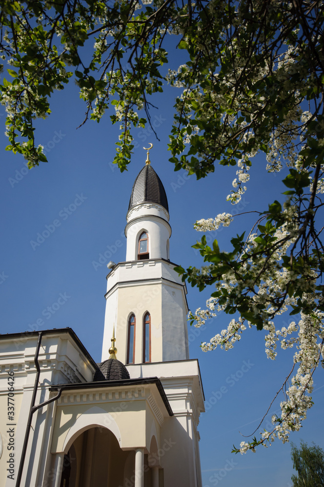 Blossoming cherry branches in front of a mosque minaret