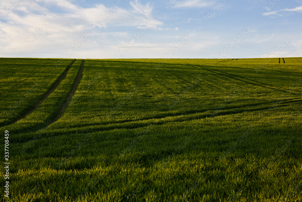 Grassy Hill in Sunset