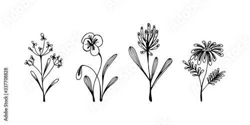 Set of hand drawn floral design elements. Vector illustration in sketch style isolated on white