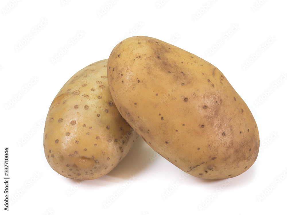 The close up of fresh organic potato vegetable on white background. The close up of fresh organic potato vegetable on white background.