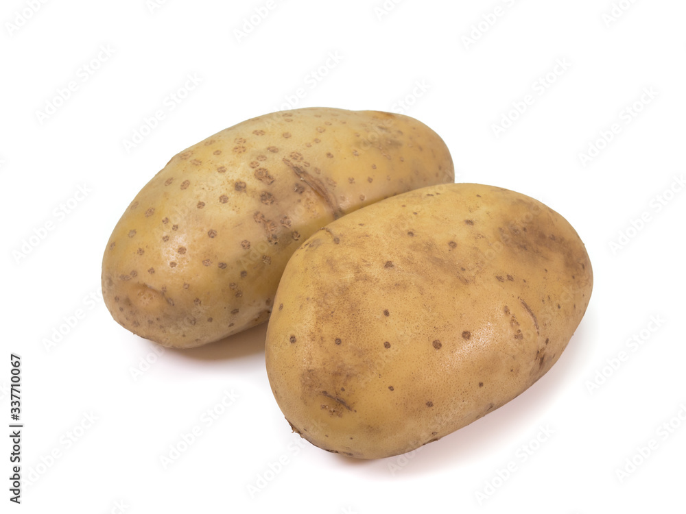 The close up of fresh organic potato vegetable on white background. The close up of fresh organic potato vegetable on white background.