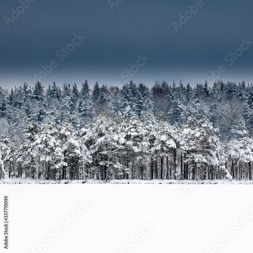 Snow Covered Trees On Field Against Sky © rauno kalda/EyeEm